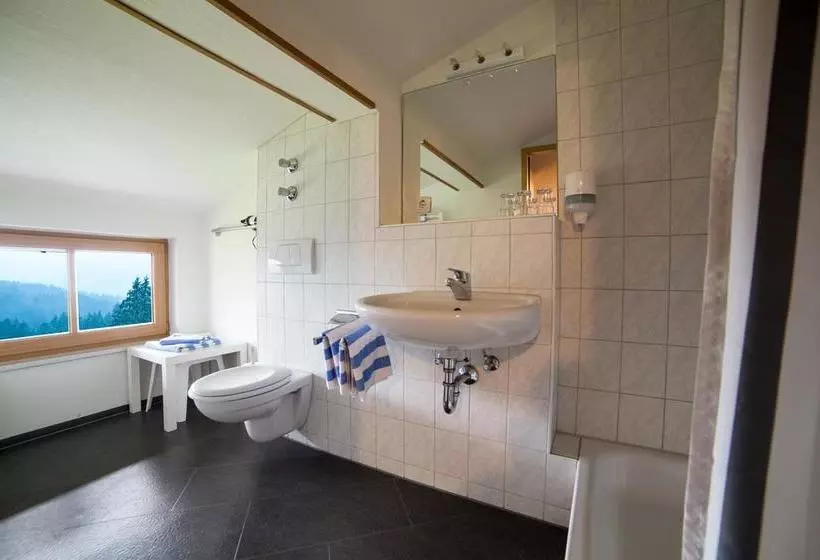 Alphotel Bodenseehütte