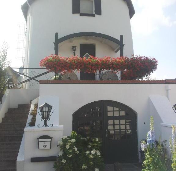 צימר De Witte Molen Kranenburg