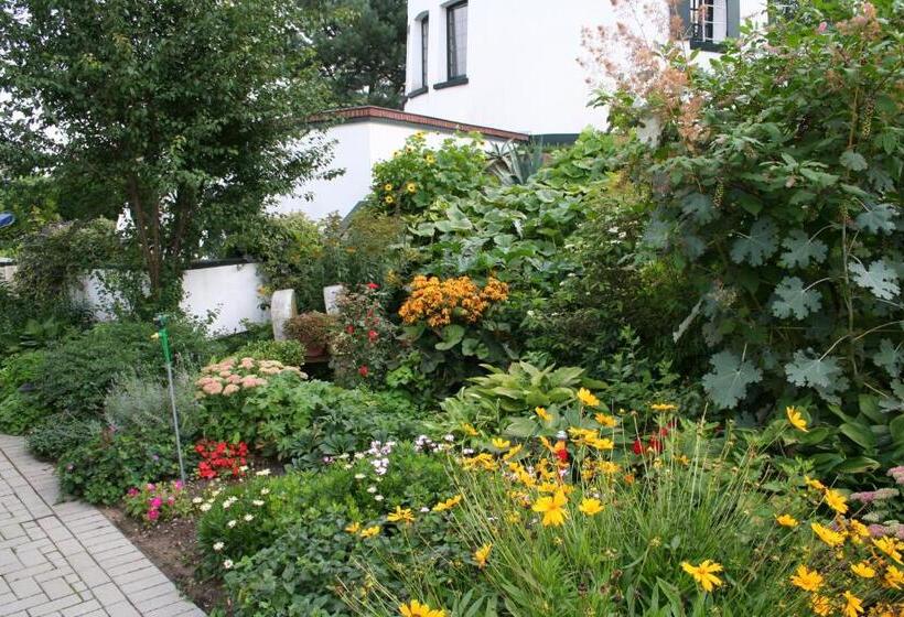 צימר De Witte Molen Kranenburg