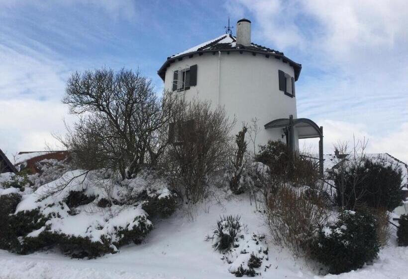 צימר De Witte Molen Kranenburg