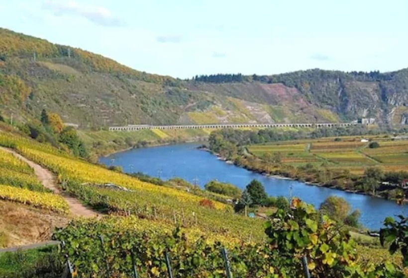 Отель Cochemer Jung