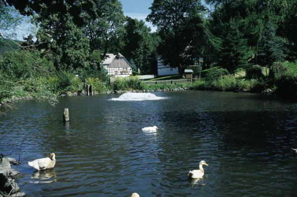 ホテル Gut Vorwald