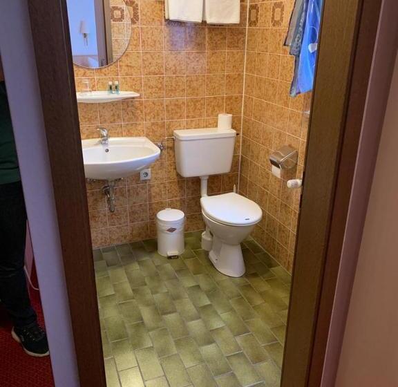 בית מלון כפרי Hocher