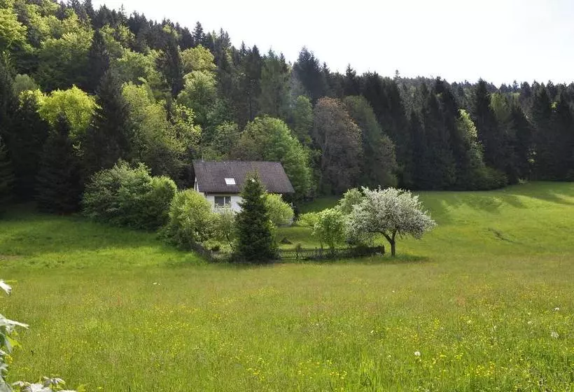 Hotelli Pension Gasthaus Zur Schmiede