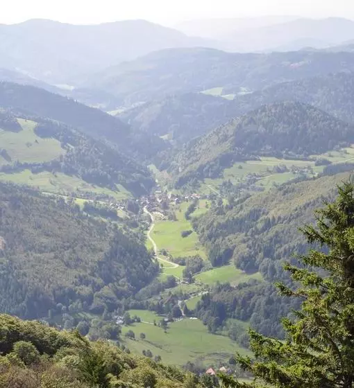 Hotelli Pension Gasthaus Zur Schmiede