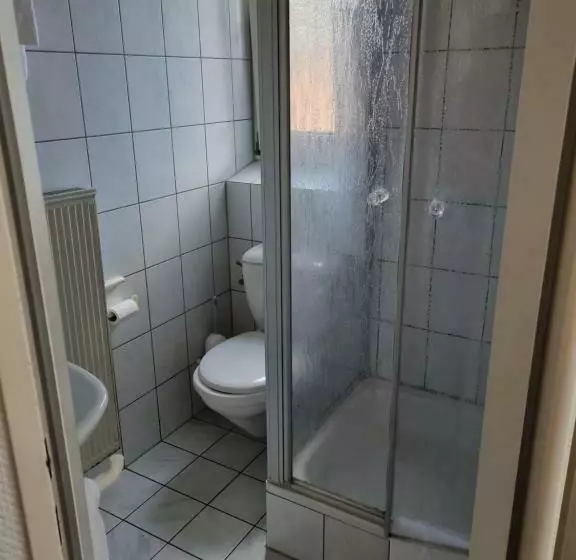 Hotelli Schwung