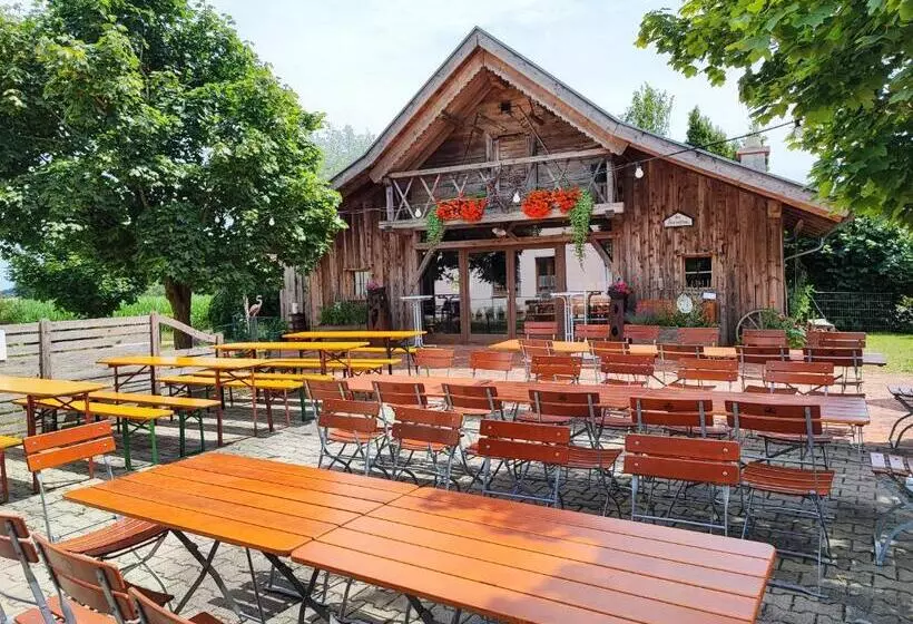 Hotelli Wirtshaus Zur Bina