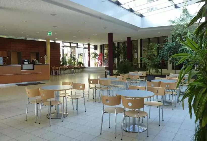 Jugendherberge Heidelberg International