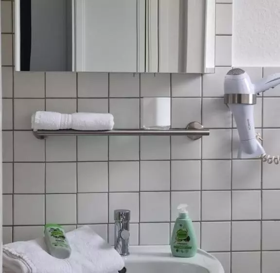 Parkhotel Am Schwanenteich