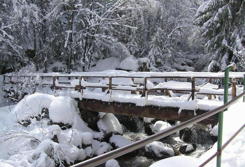 Waldgasthaus & Berghotel Steinerne Renne