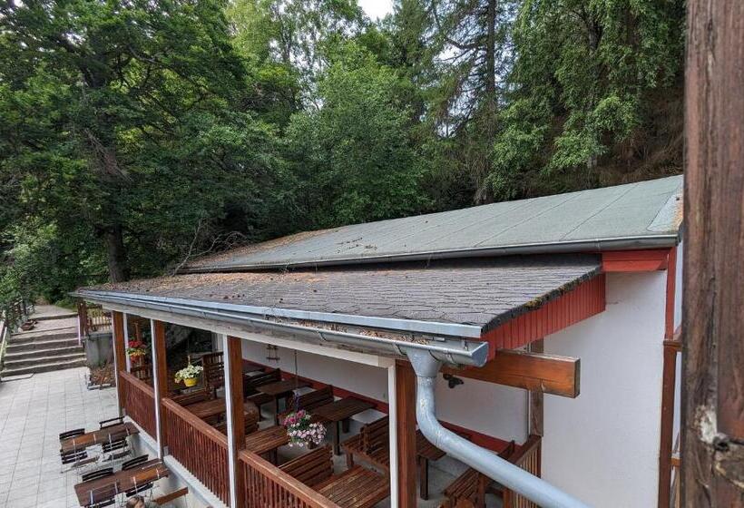 Waldgasthaus & Berghotel Steinerne Renne