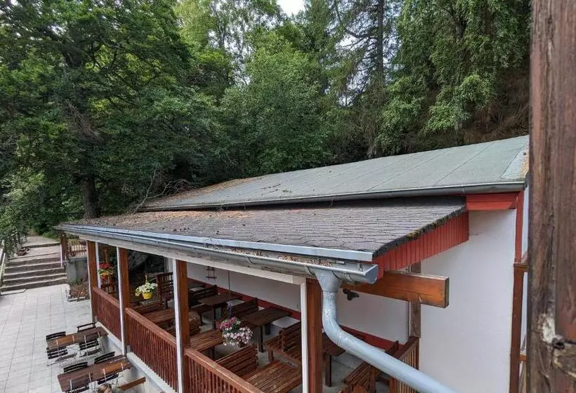 Waldgasthaus & Berghotel Steinerne Renne