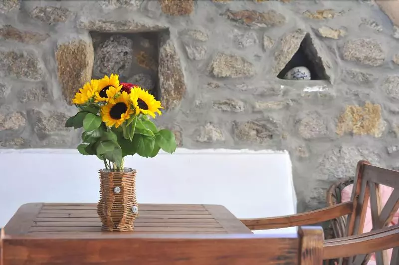 Alexandros Mykonos