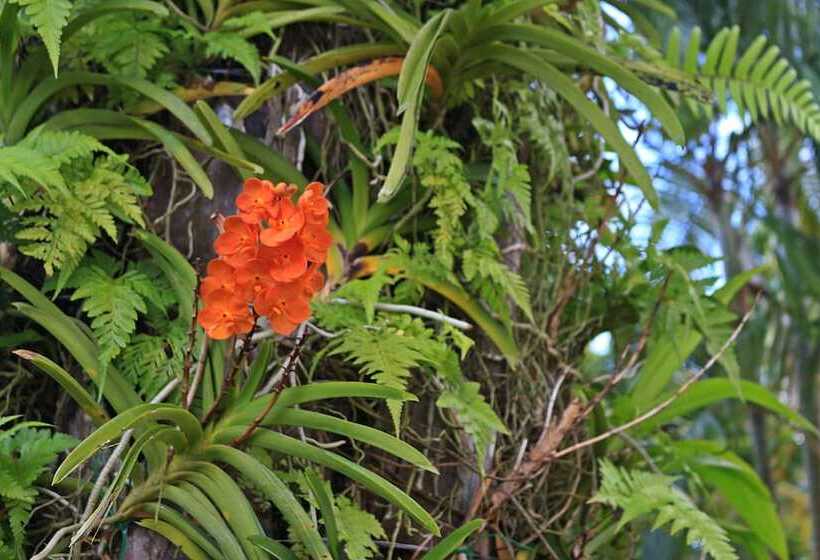 Szálloda Royal Lee Resort & Spa