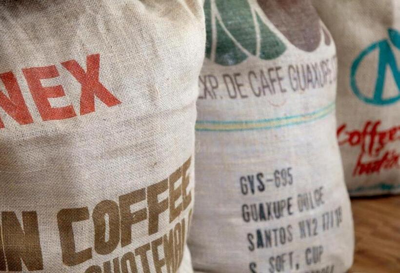 Отель Sternplatz