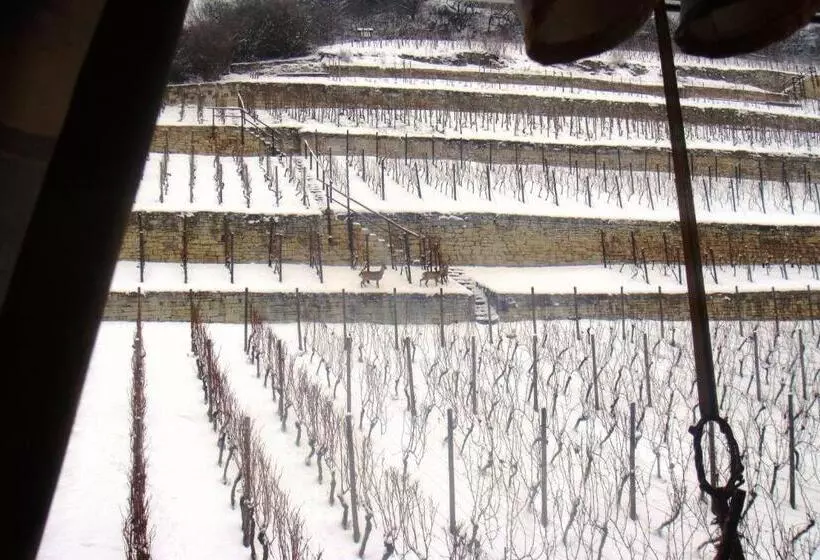 Landhotel Weingut Schulze