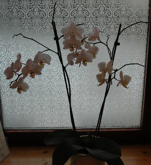 Aald Harbour Bed & Breakfast