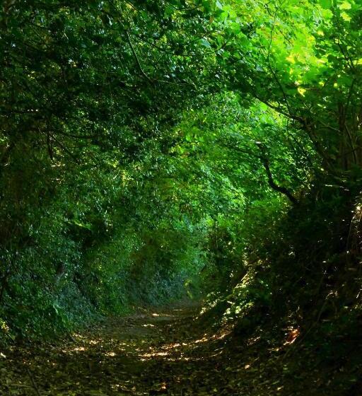 مبيت وإفطار Croft House Guest Suite Painswick