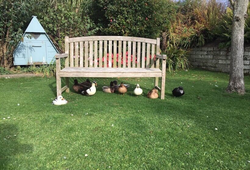 Ramsey House   Luxury Licensed B&b   Parking And Guest Lounge