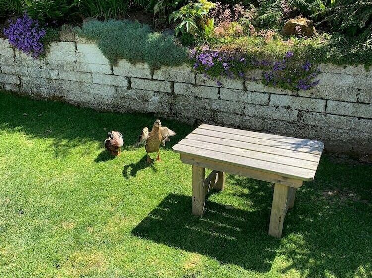 Ramsey House   Luxury Licensed B&b   Parking And Guest Lounge