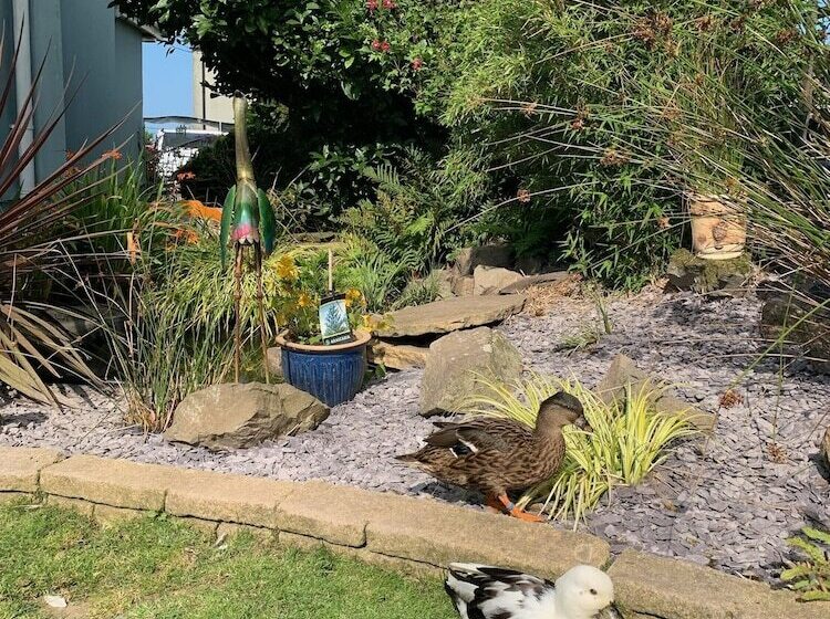 Ramsey House   Luxury Licensed B&b   Parking And Guest Lounge