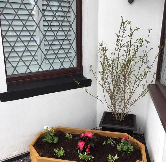 민박 Southern Comfort Guest House