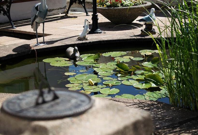 Bed and Breakfast The Oregon