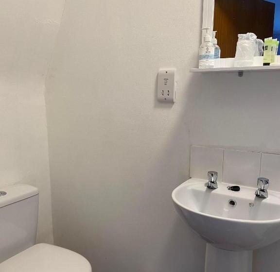 בית מלון כפרי The Black Swan