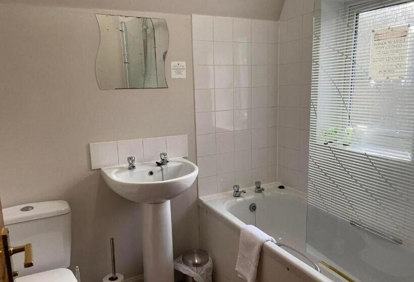 בית מלון כפרי The Black Swan