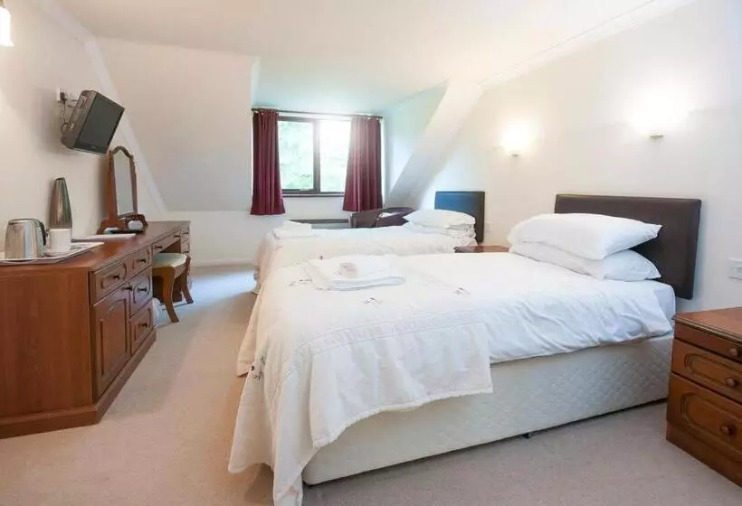 Hotelli Trewern Arms