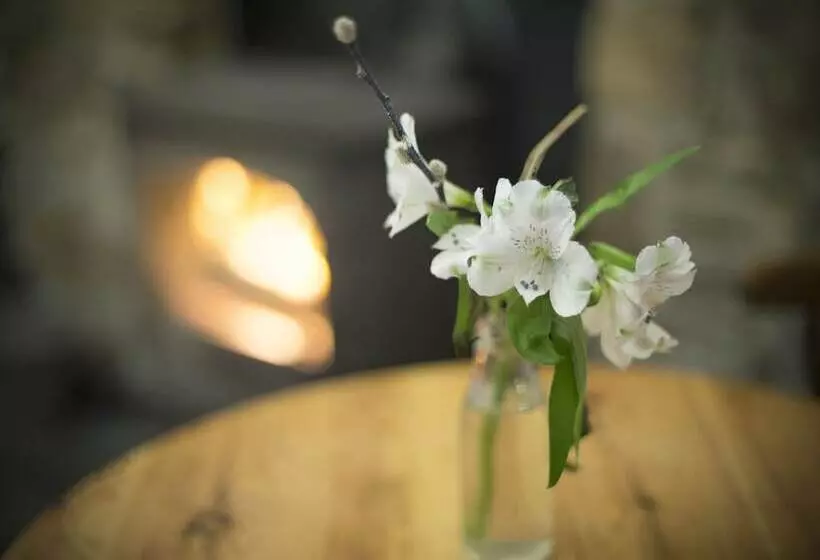 Hotelli Trewern Arms