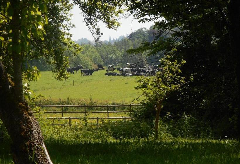 Llansabbath Country Farmhouse B&b