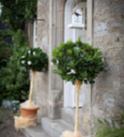 Low Gingerfield Farm B&b