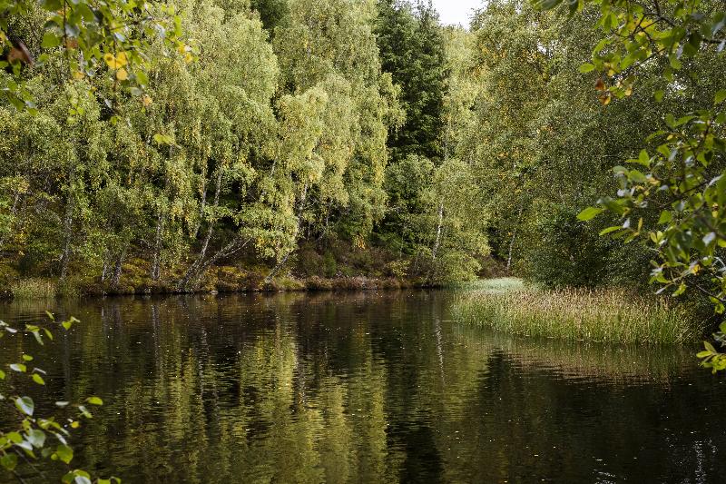 Macdonald Lochanhully Resort