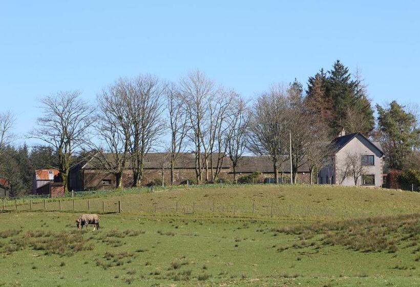 Shandon Farmhouse Bed And Breakfast