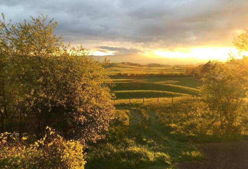 Shandon Farmhouse Bed And Breakfast