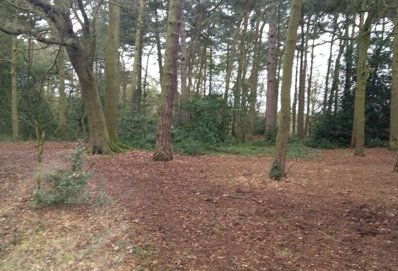 مبيت وإفطار 2 The Rocklands