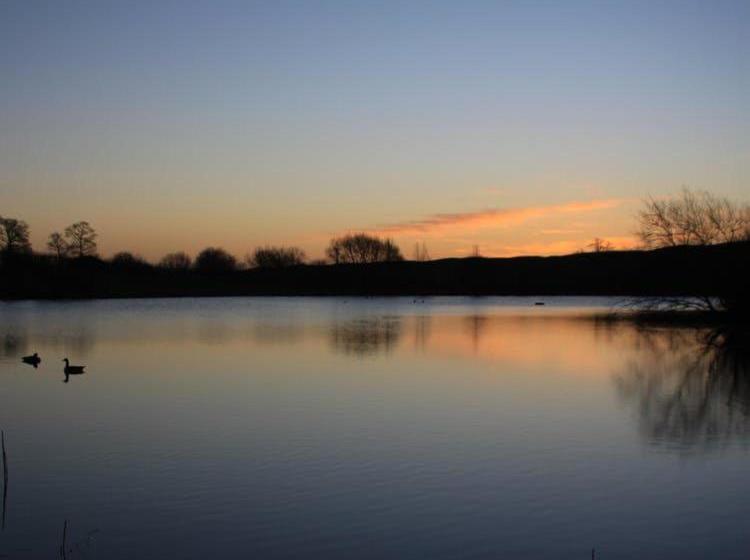 تختخواب و صبحانه Cherry Orchard Farm