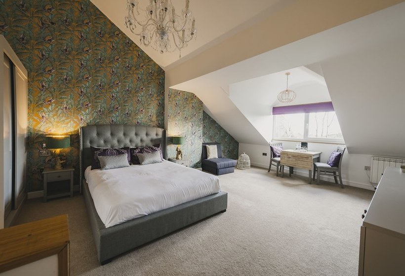 مبيت وإفطار Everglades Luxury Residence