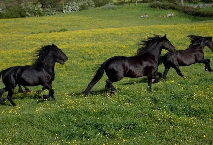 ベッドアンドブレックファースト Greenbank Farmhouse