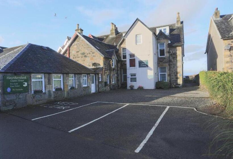 Bed and Breakfast Hawthornbank