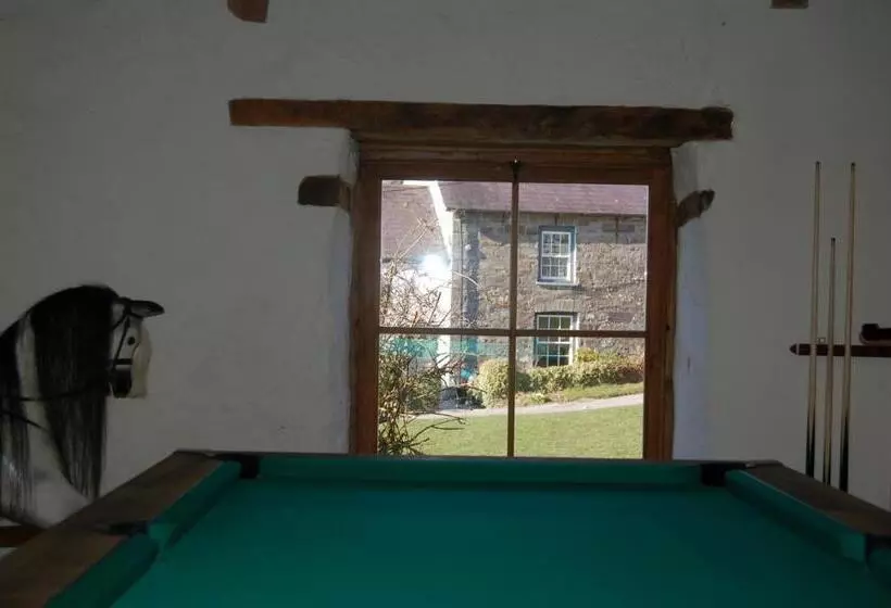 تختخواب و صبحانه Nantgwynfaen Organic Farm Wales