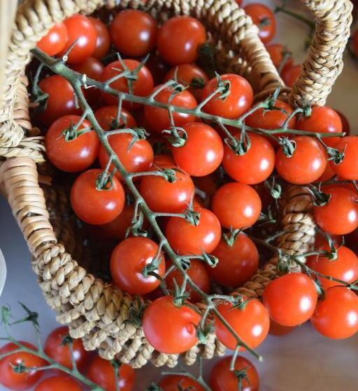 צימר Nantgwynfaen Organic Farm Wales