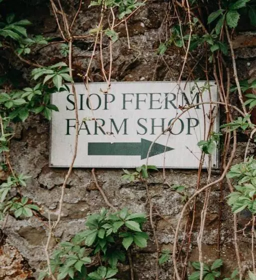 تختخواب و صبحانه Nantgwynfaen Organic Farm Wales