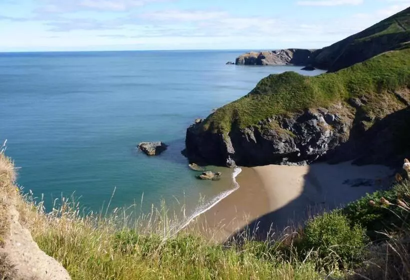 تختخواب و صبحانه Nantgwynfaen Organic Farm Wales