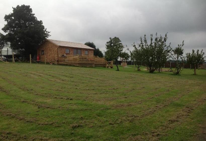 تختخواب و صبحانه Orme View Lodges