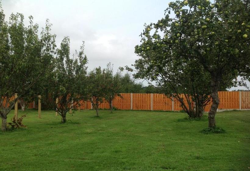 تختخواب و صبحانه Orme View Lodges