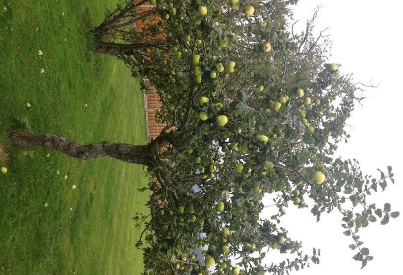 تختخواب و صبحانه Orme View Lodges