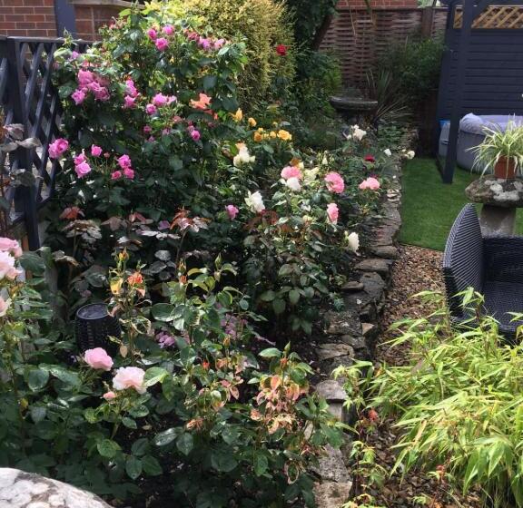 住宿加早餐  The Edwardian Lodge Guest House