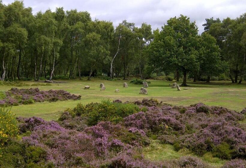 مبيت وإفطار The Old Station House